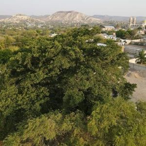 Meet your Posher, Cristobal